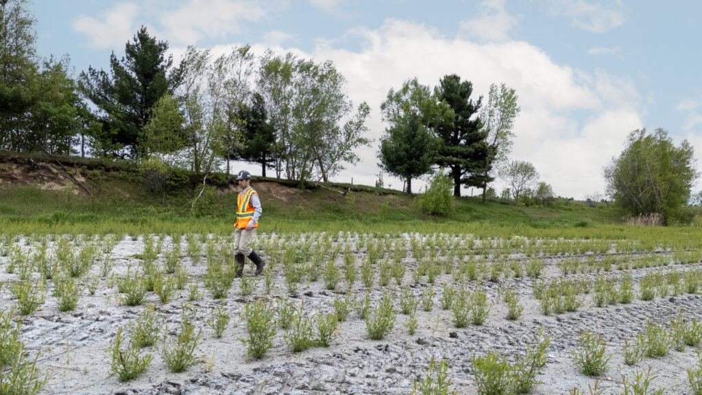 1 million de saules plantés à Terrebonne // Ramo & Sable Villeneuve